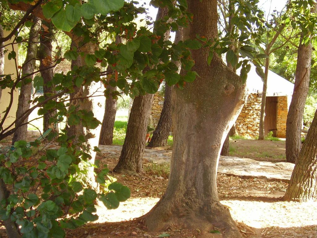Agriturismo Cuile De Molino ポルト・トッレス エクステリア 写真